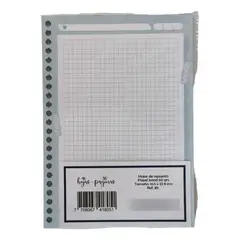 GENERICO - Repuesto X80 Hojas Cuaderno Agenda Cuadriculado Espiral Kit