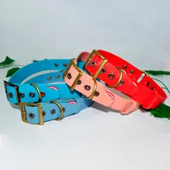 AM MASCOTAS - Collares Plásticos Para Mascotas XL
