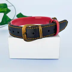 AM MASCOTAS - Collar Para Mascota de Cuero