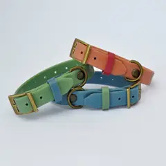 AM MASCOTAS - Collares Plásticos Para Mascotas M