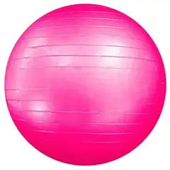 GENERICO - Pelota Fitnes Golty Jump Ball 65 Centimetr. Fucsia +Inflador