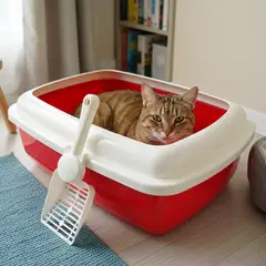 AM MASCOTAS - Arenera Grande Con Tapa Para Gato