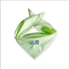 WAWAW - Pañoleta para perro talla XL unicolor verde medio
