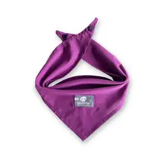 WAWAW - Pañoleta para perro talla S unicolor morado