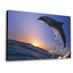 ART INDUSTRY - Cuadro 50x30cms Decorativo Delfin 3