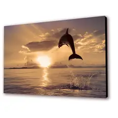 ART INDUSTRY - Cuadro 50x30cms Decorativo Delfin 4