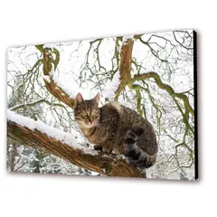 ART INDUSTRY - Cuadro 50x30cms Decorativo Gato 1
