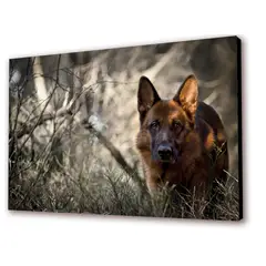 ART INDUSTRY - Cuadro 50x30cms Decorativo Perro 2