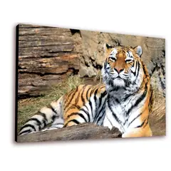 ART INDUSTRY - Cuadro 50x30cms Decorativo Tigre 3