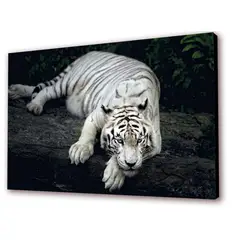 ART INDUSTRY - Cuadro 50x30cms Decorativo Tigre 4