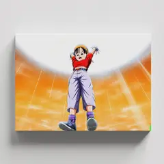 TAYRONA STORE - Cuadros Retablo Animes Dragon Ball 177 - 50x35cm