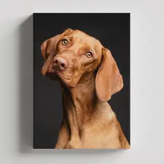 TAYRONA STORE - Cuadros Retablo Animales Perro 289 - 35x50cm