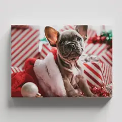 TAYRONA STORE - Cuadros Retablo Animales Perro 482 - 50x35cm