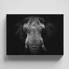 TAYRONA STORE - Cuadros Retablo Animales Elefantes 365 - 50x35cm