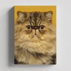 TAYRONA STORE - Cuadros Retablo Animales Gatos 482 - 50x35cm