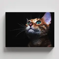 TAYRONA STORE - Cuadros Retablo Animales Gatos 530 - 50x35cm