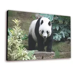 ART INDUSTRY - Cuadro 50x30cms Decorativo Oso 3