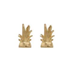 ETN DESING - CORONITA DE PIÑA ARETES_.