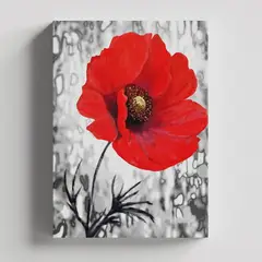 TAYRONA STORE - Cuadros Retablo Blanco Negro y Rojo 009 - 35x50cm