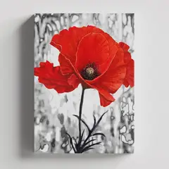 TAYRONA STORE - Cuadros Retablo Blanco Negro y Rojo 011 - 35x50cm