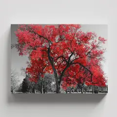 TAYRONA STORE - Cuadros Retablo Blanco Negro y Rojo 031 - 50x35cm