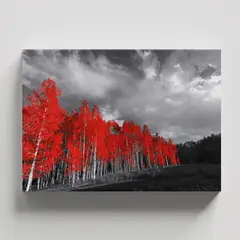 TAYRONA STORE - Cuadros Retablo Blanco Negro y Rojo 051 - 50x35cm