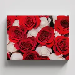 TAYRONA STORE - Cuadros Retablo Blanco Negro y Rojo 057 - 50x35cm