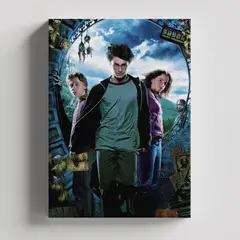 TAYRONA STORE - Cuadros Retablo Peliculas Harry Poter 030 - 35x50cm