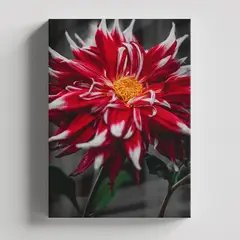 TAYRONA STORE - Cuadros Retablo Flores Y Plantas 083 - 35x50cm