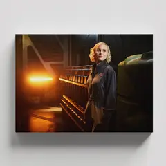 TAYRONA STORE - Cuadros Retablo Series de TV Star Trek 007 - 50x35cm