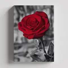 TAYRONA STORE - Cuadros Retablo Blanco Negro y Rojo 008 - 35x50cm