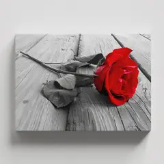 TAYRONA STORE - Cuadros Retablo Blanco Negro y Rojo 036 - 50x35cm