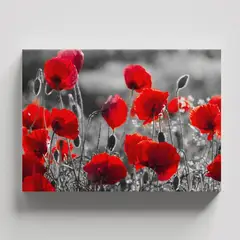 TAYRONA STORE - Cuadros Retablo Blanco Negro y Rojo 045 - 50x35cm