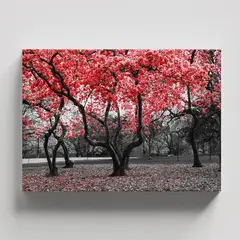 TAYRONA STORE - Cuadros Retablo Blanco Negro y Rojo 049 - 50x35cm.