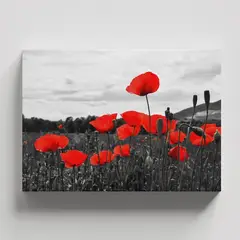 TAYRONA STORE - Cuadros Retablo Blanco Negro y Rojo 056 - 50x35cm