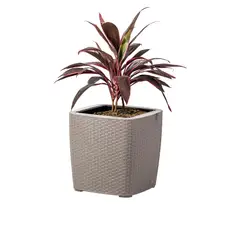 PLASTICOS MQ - Matera Maceta Para Exteriores Y Jardin Tipo Ratan Mq