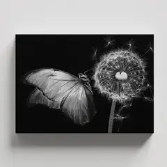 TAYRONA STORE - Cuadros Retablo Animales Mariposas 399 - 50x35cm
