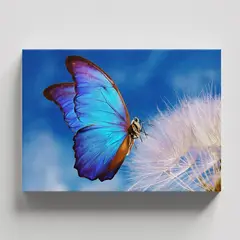 TAYRONA STORE - Cuadros Retablo Animales Mariposas 398 - 50x35cm