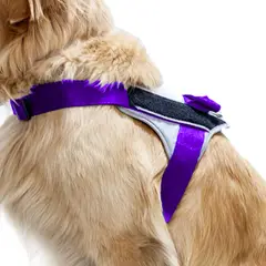 GENERICO - Arnes Minitrabajador Gris Morado Talla S