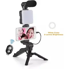 GENERICO - Kit de Audio y video con microfono ay 49