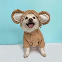 WAWAW - Disfraz para perro talla 3XL mico halloween