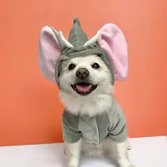 WAWAW - Disfraz para perro talla S elefante halloween