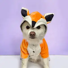 WAWAW - Disfraz para perro talla XL zorro