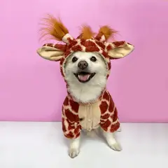 WAWAW - Disfraz para perro talla L jirafa Halloween