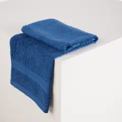 DISTRIHOGAR - Toalla de Manos Ricu 480gr Azul 50 x 80