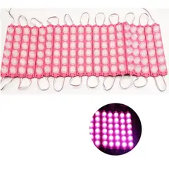 LEDMAX - MODULO LED 6 PEPAS FUCSIA X 10 UNIDADES VEHICULOS Y HOGAR