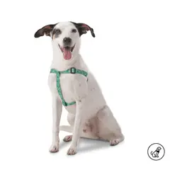 TOTTO - Arnés Para Mascota Brunno Verde M