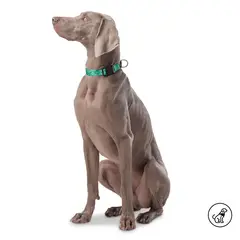 TOTTO - Collar ajustable Mylu para perro