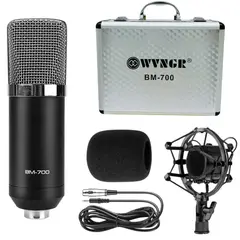 TECNOHOGAR JS - Microfono Condensador Estudio Profesional Bm700 Con Estuche
