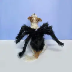 WAWAW - Disfraz para perro talla M araña Halloween